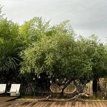 Le Coucher De Soleil 3* Bessens