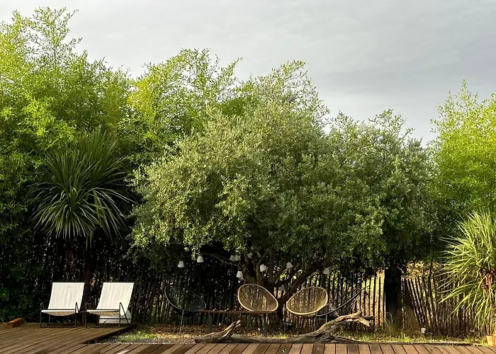 Le Coucher De Soleil 3* Bessens